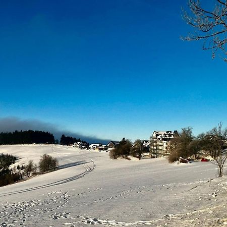 Astenblick Apartments Winterberg With Sauna Eksteriør billede