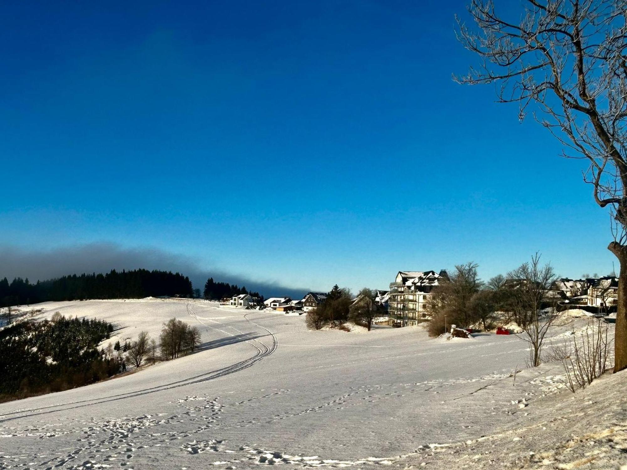 Astenblick Apartments Winterberg With Sauna Eksteriør billede